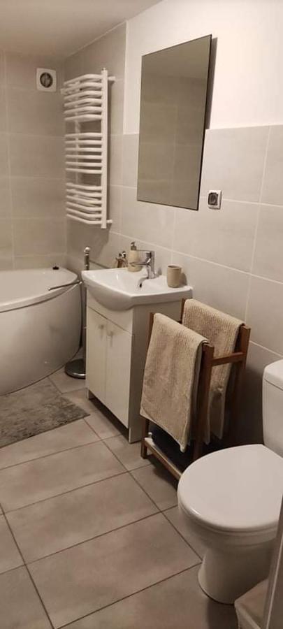 Sosnówka Apartament W Malowniczej Sosnowce מראה חיצוני תמונה